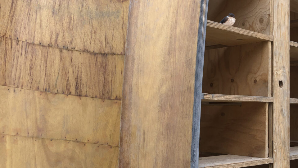 Antonin Detemple Pollen 2026